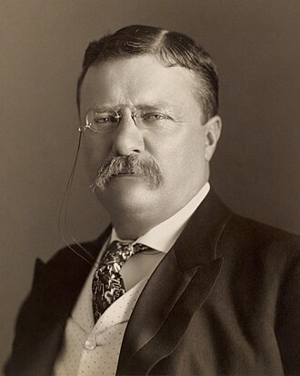 Official portrait of Theodore Roosevelt